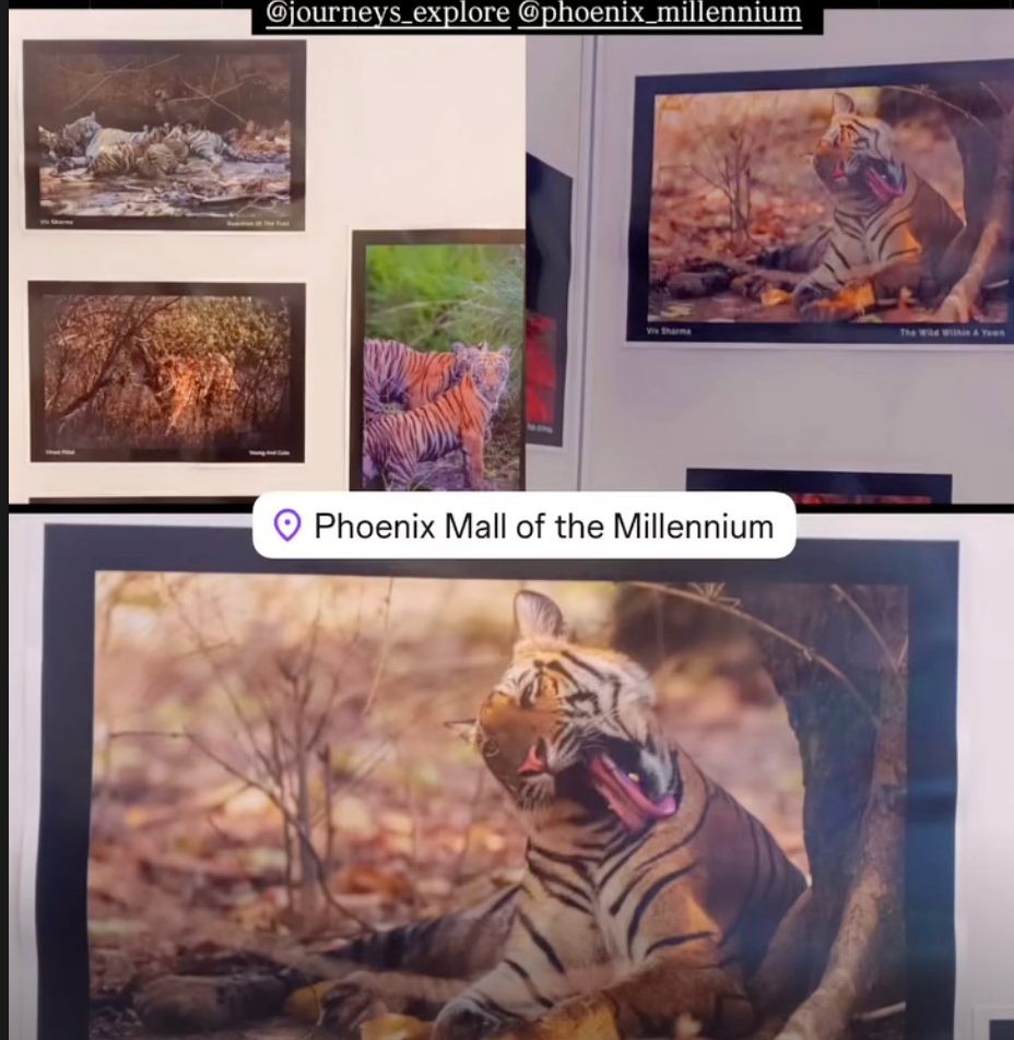 Phoenix Mall Exhibition