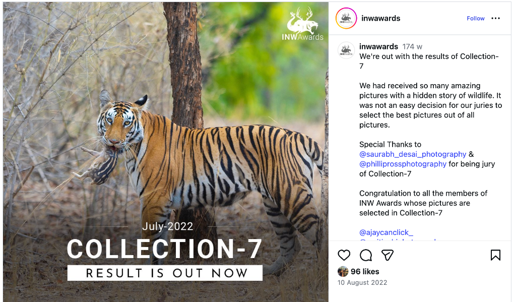 INW Awards Collection-7