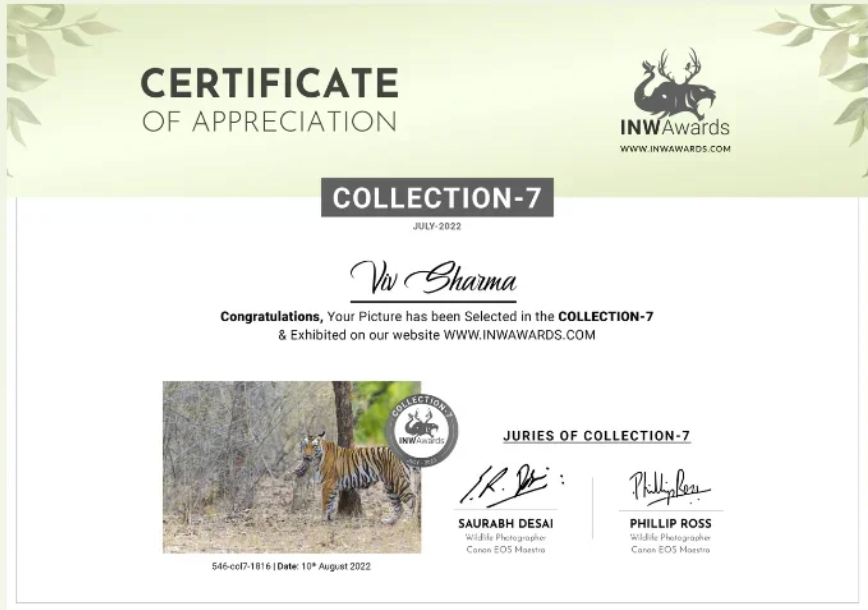 INW Awards Certificate