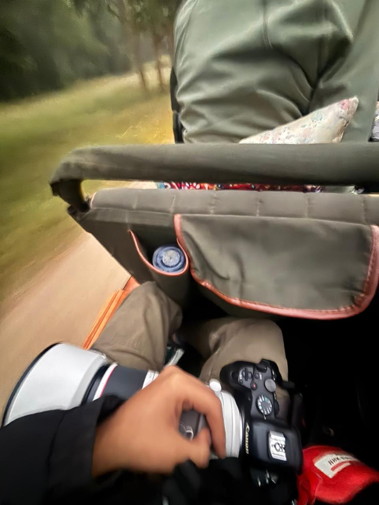 Photography gear in the field